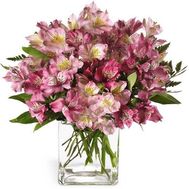 Букет из 25 розовых альстромерий