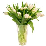 Bouquet of white tulips