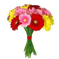 Bouquet of gerberas