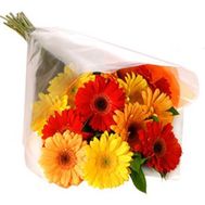 Bouquet of gerberas