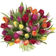 Bouquet of multicolored tulips