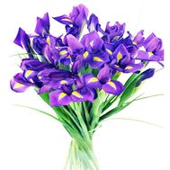 Bouquet of blue irises