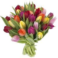 Bouquet of tulips
