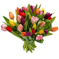 Bouquet of tulips