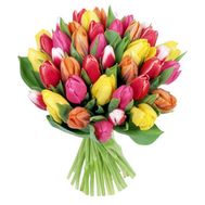 Bouquet of tulips
