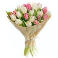 Bouquet of tulips