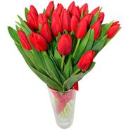 Bouquet of red tulips