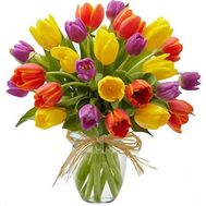 Bouquet of multi-colored tulips