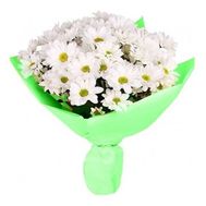 Bouquet of chamomiles