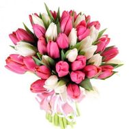 Bouquet of Tulips