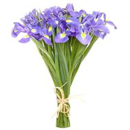 Beautiful bouquet of irises