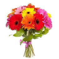 Buy bouquet of gerberas