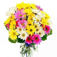 Купить хризантемы