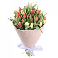 Buy tulips