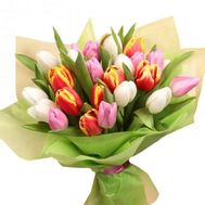 Tulips with delivery