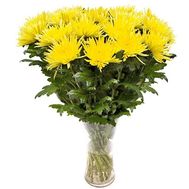 Яркий букет из одноголовых хризантем