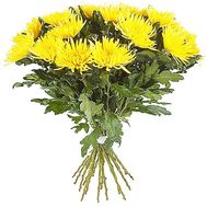 21 желтая одноголовая хризантема