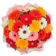 Bouquet gerberas