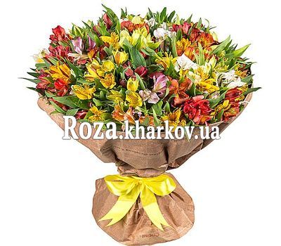 101 Alstroemeria