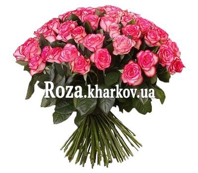 101 джамиля 101 джамиля