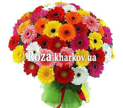 101 гербера в букете