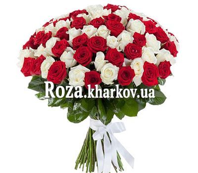 101 красная и белая роза