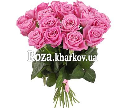 21 роза аква 21 роза аква