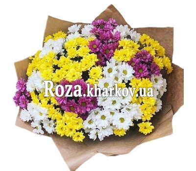 25 хризантем в бумаге