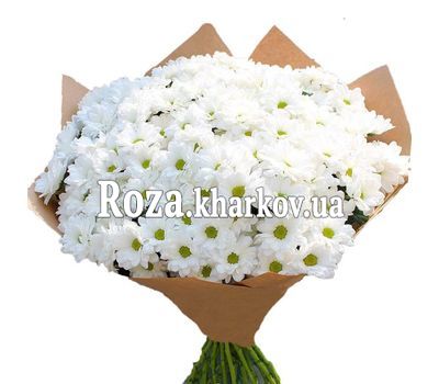 31 ромашка в букете