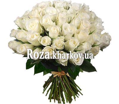 51 белая импортная роза