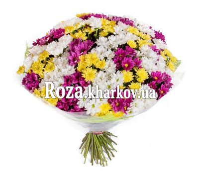 51 хризантема в букете