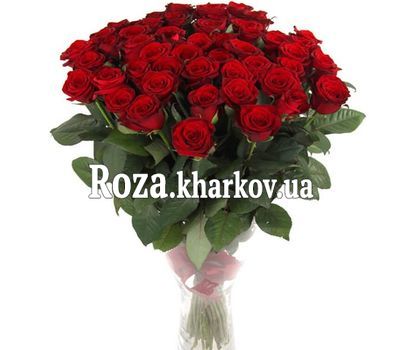 51 червона троянда 70 см