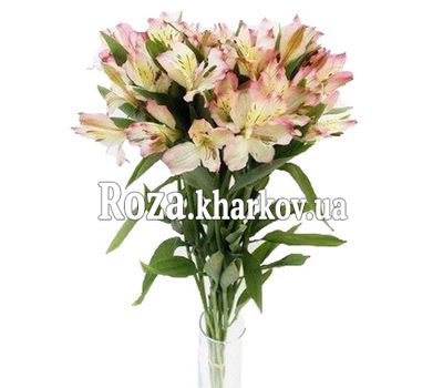 7 альстромерий в букете