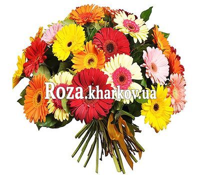 Большой букет гербер