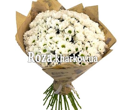 Большой букет ромашек