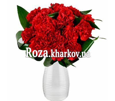 Букет гвоздик для девушки Букет гвоздик для девушки