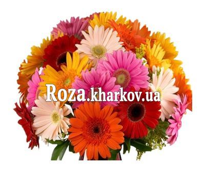 Wonderful bouquet of gerberas Wonderful bouquet of gerberas