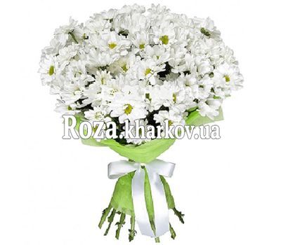 Красивый букет ромашек