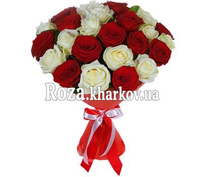 Red white mix of roses Red white mix of roses