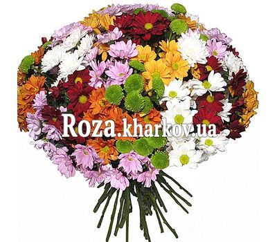 Colorful bouquet of chrysanthemums