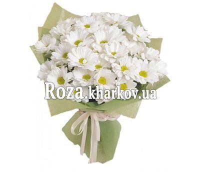 Buy camomiles Kharkov Buy camomiles Kharkov
