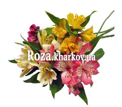 Маленький букет альстромерий