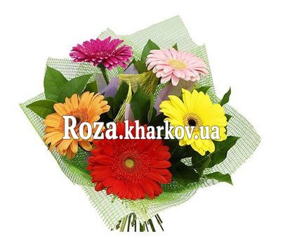 Маленький букет гербер