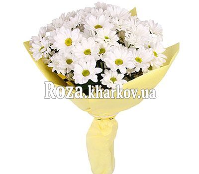 Маленький букет ромашек