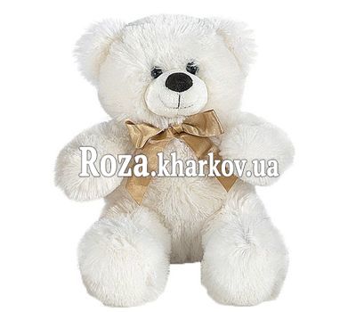 Маленький Мишка