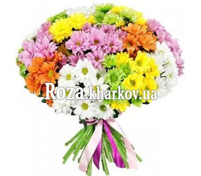 Микс хризантем