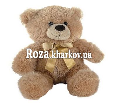 Небольшой Мишка