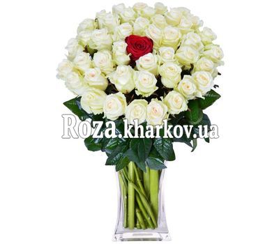 Одна красная роза среди белых роз Одна красная роза среди белых роз