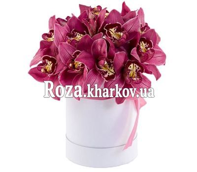 Орхидеи в шляпной коробке