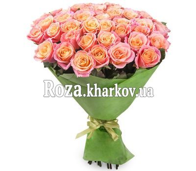 Amazing Rose Miss Piggy